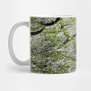 Rock & Moss Mug